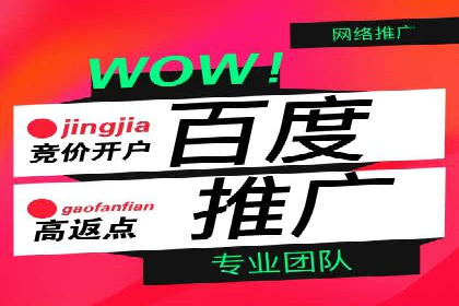 百度推广实战案例：打造爆款广告的秘密武器